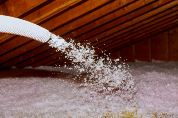 Best Blown-In Insulation  in Dearborn Heights, MI